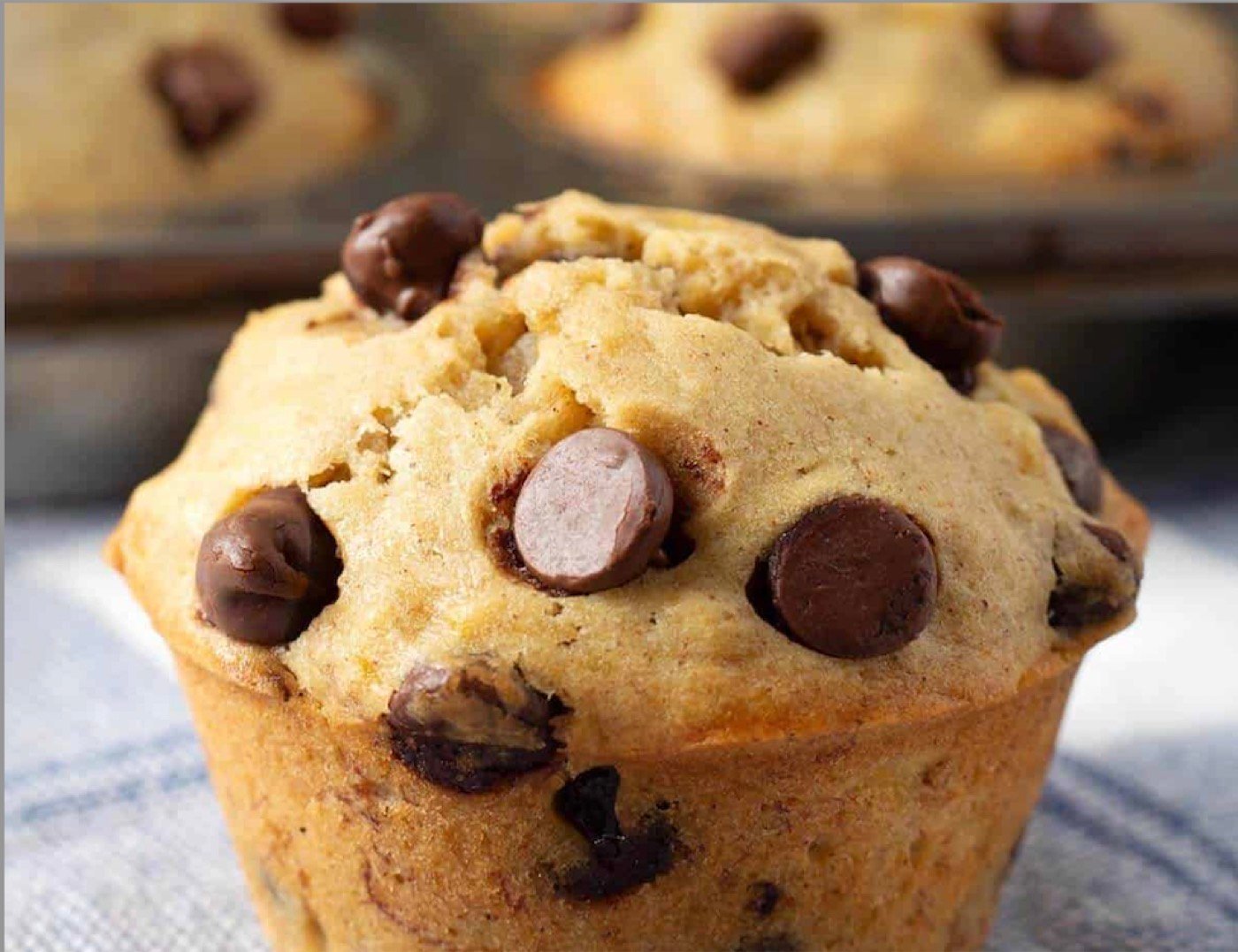 Banana Chocolate Chip Muffin